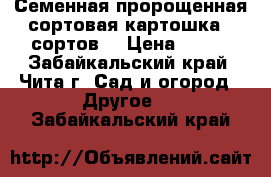 Семенная,пророщенная,сортовая картошка(5 сортов) › Цена ­ 500 - Забайкальский край, Чита г. Сад и огород » Другое   . Забайкальский край